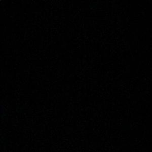 Meet your Posher, Delfina